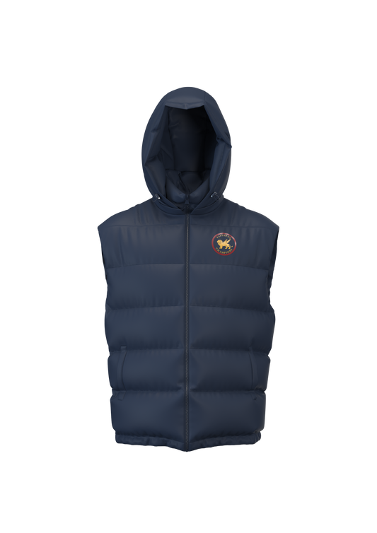 Summit Hooded Puffer Vest Product FAITHFUL CHAMPIONS GLOBAL