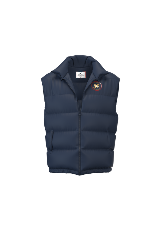 Summit Hooded Puffer Vest Product FAITHFUL CHAMPIONS GLOBAL