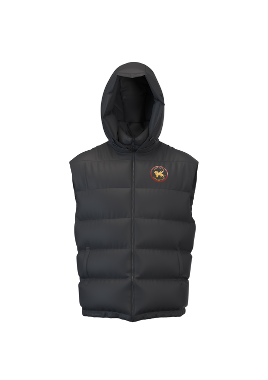Summit Hooded Puffer Vest Product FAITHFUL CHAMPIONS GLOBAL