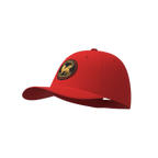 Champion Classic Baseball Hat- Unisex FAITHFUL CHAMPIONS GLOBAL